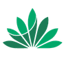 logo de S4T